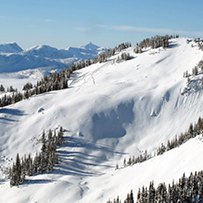 An open bowl above treeline with a defined avalanche path.