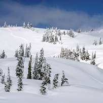 Gentle, low-angle slopes dotted with trees.